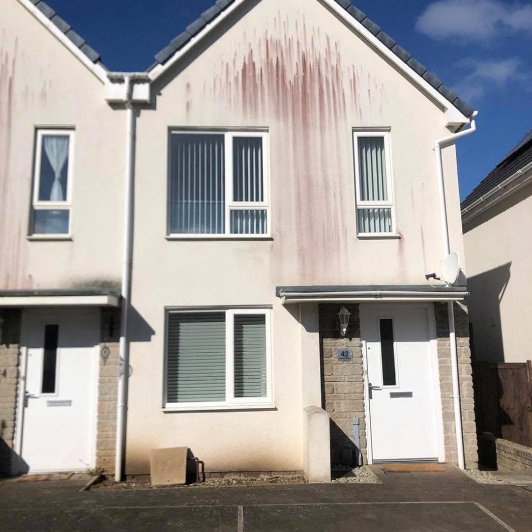 Semi-detached houses with red algae streaked down the render, before cleaning